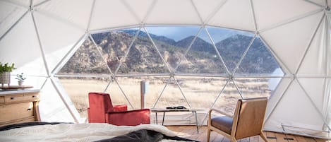 1 habitación y ropa de cama