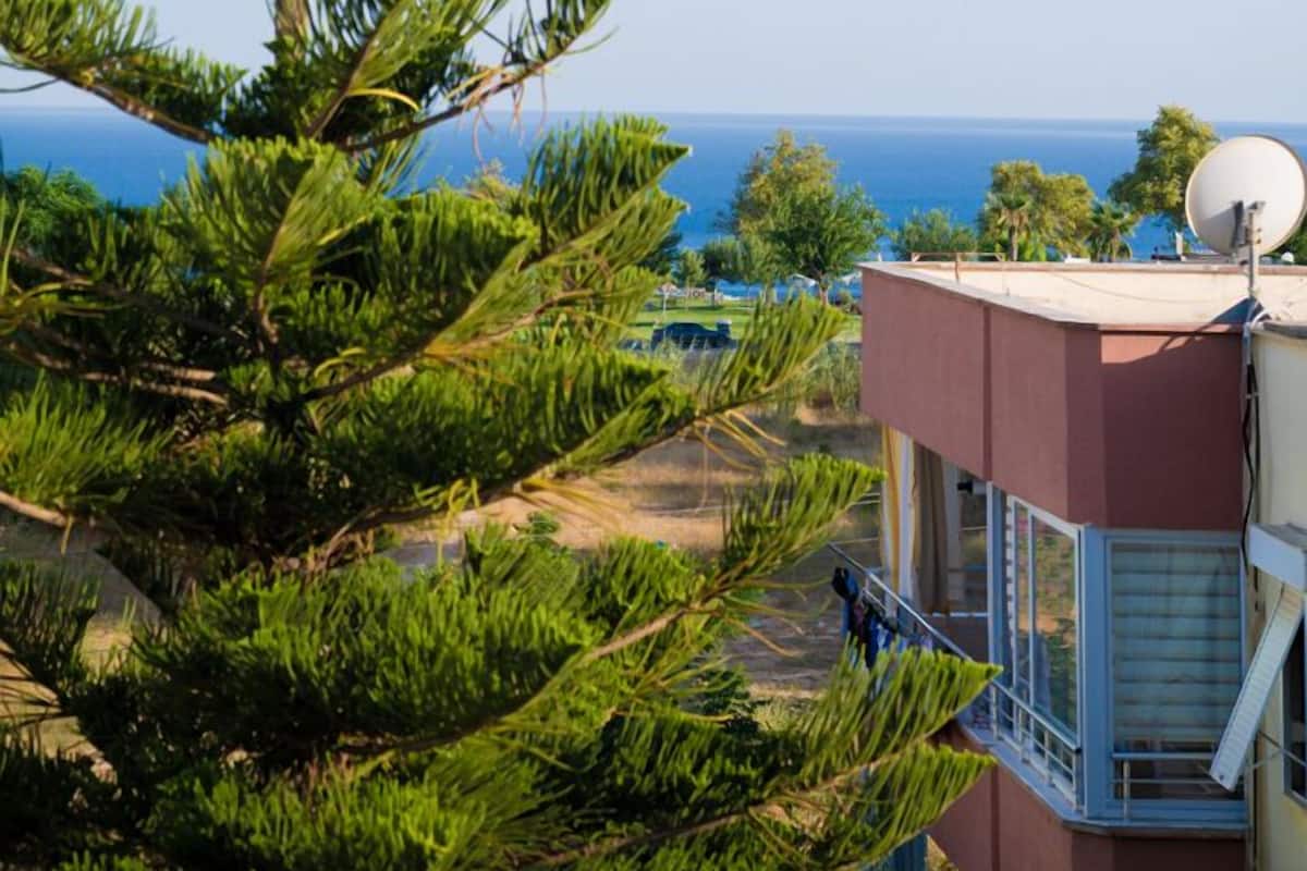 Family Apartment | View from room