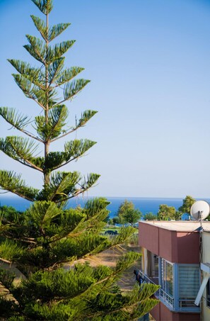 家庭公寓 | 客房景观