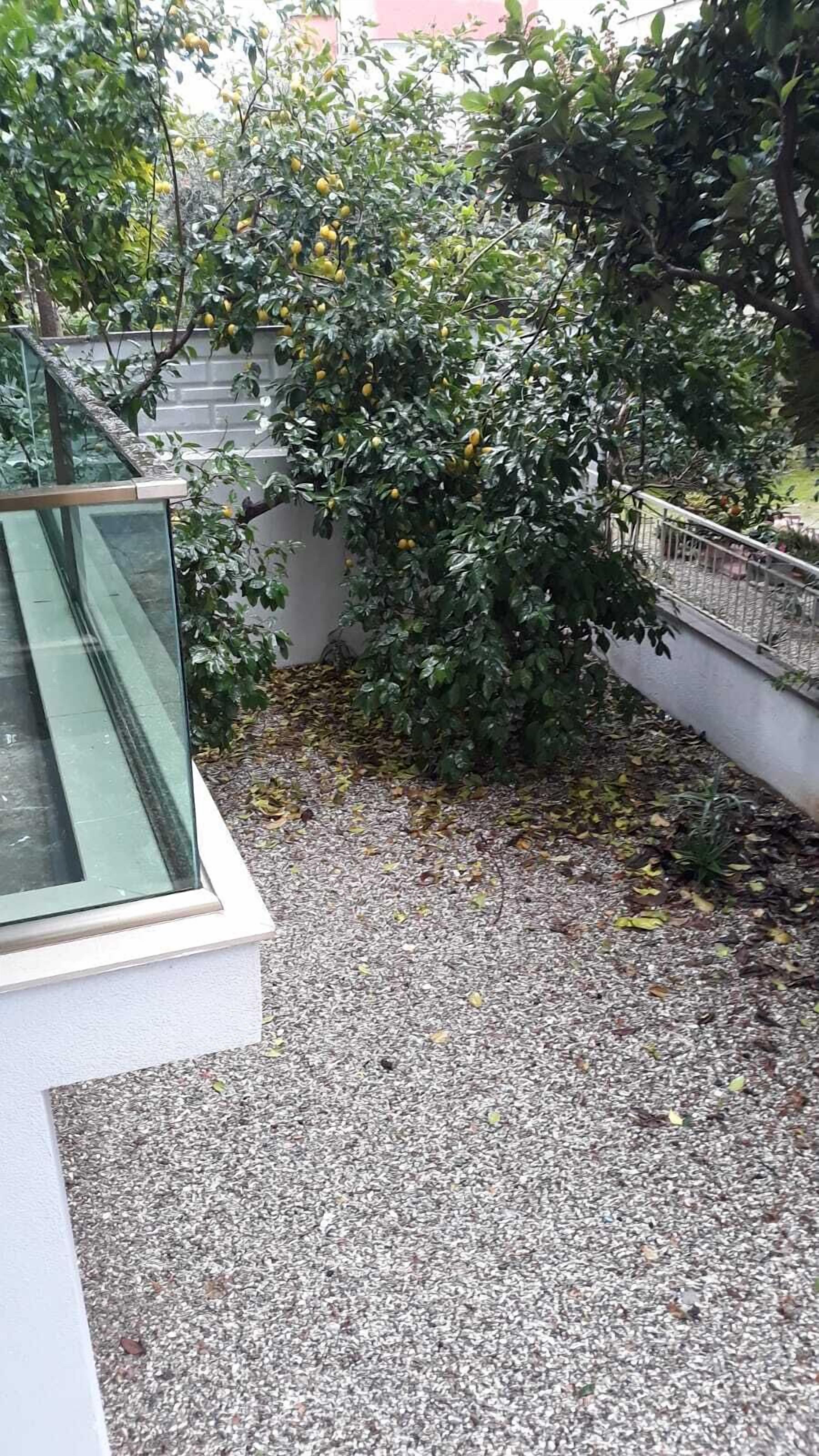 Un jardín con un sendero de grava, un árbol con frutos amarillos y una barandilla de cristal.