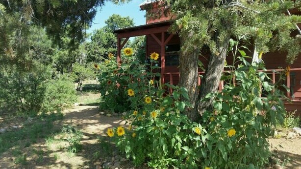 Ein rustikales Holzhaus, umgeben von üppigem Grün und Sonnenblumen.
