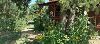 De La Luna's Coyote Moon Cabin Retreat Santa Fe