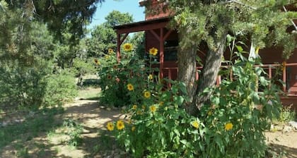 De La Luna's Coyote Moon Cabin Retreat Santa Fe