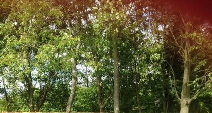 Lovely 2-bed Chalet at Robinhood Retreat Free Park