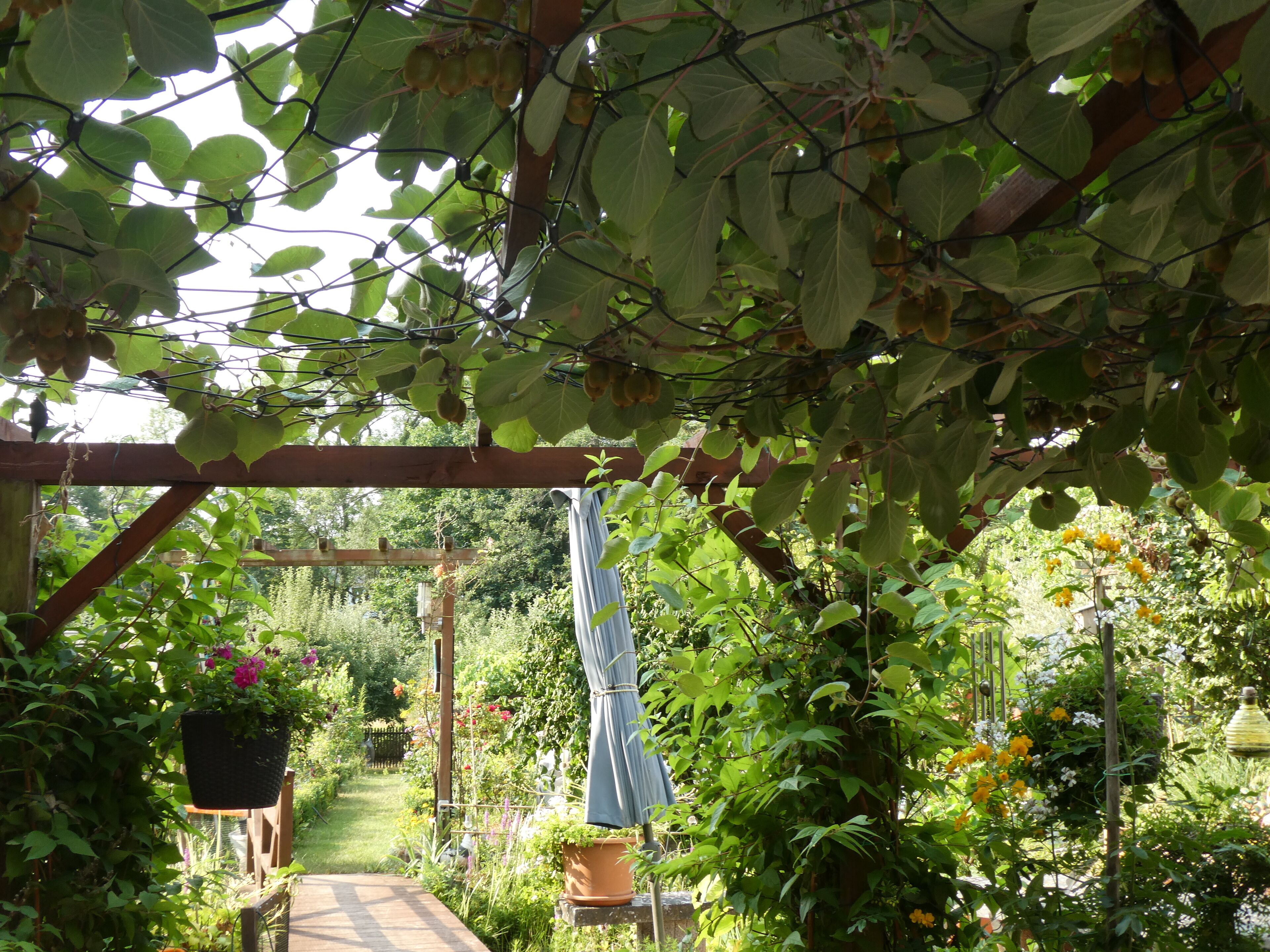 Terrain de l’hébergement 