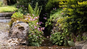 A garden with a small stream, rocks, and various plants including ferns and flowering shrubs.