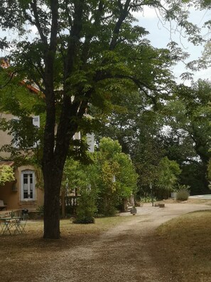 Property grounds - A family home in Provence Occitanie (SABRAN)