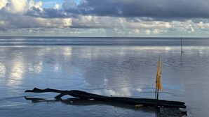 Ein Strand mit ruhigem Wasser, einer Holzkonstruktion und einer gelben Flagge.