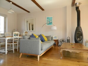 Télévision, cheminée, lecteur de DVD, livres