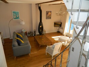 Télévision, cheminée, lecteur de DVD, livres