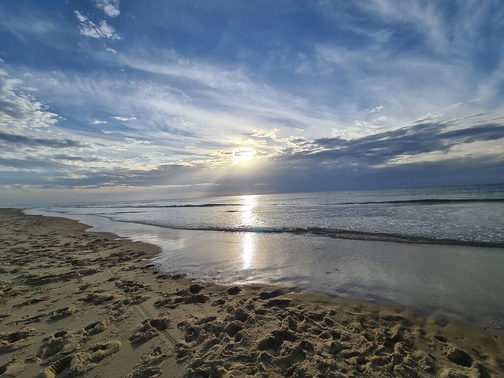 Ranta lähistöllä, aurinkotuoleja