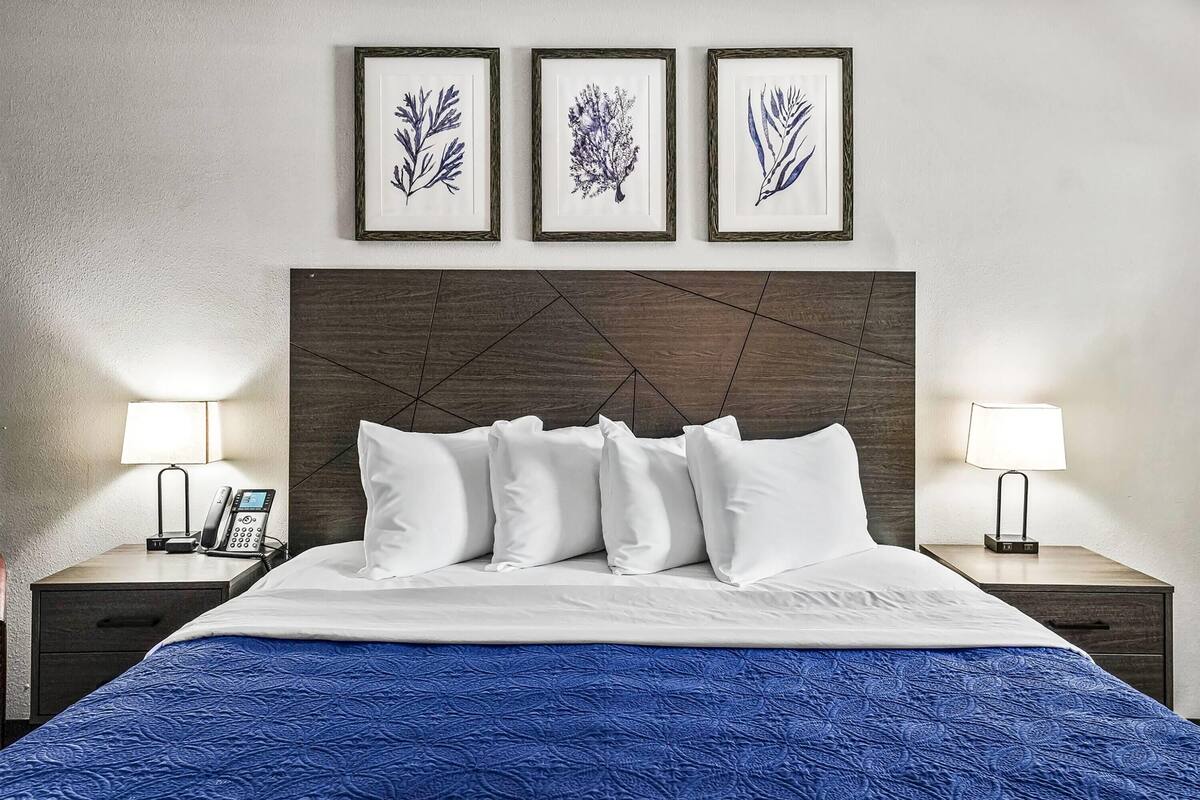 Una camera d'hotel con un letto, biancheria da letto bianca, una coperta azzurra, un poggiatesta in legno e stampe botaniche incorniciate alle pareti.