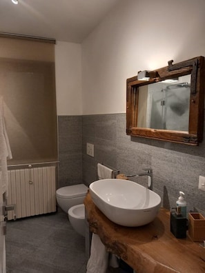 Shower, hair dryer, bidet, towels