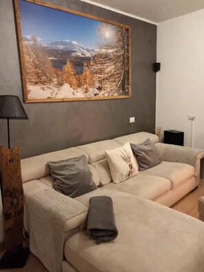 Smart TV, DVD player, books