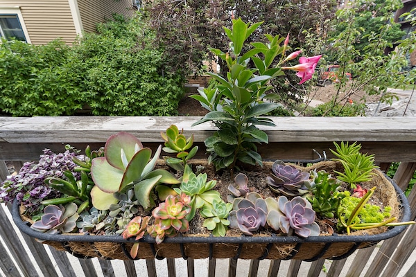 DĂ©tail de lâextĂ©rieur