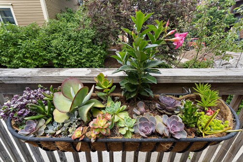 Cozy Historical Home-Trendy Lakes Area- 3 Bedroom 1 & 1/2 Bath