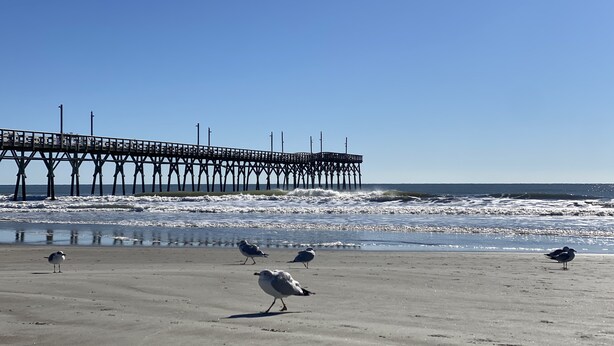 A beach with a pier extending into the ocean. - 1st Level w/updates, family-friendly, 5 mins to beach, w/pool access, sleeps 6 (Sunset Beach)