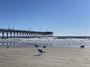 A beach with a pier extending into the ocean.