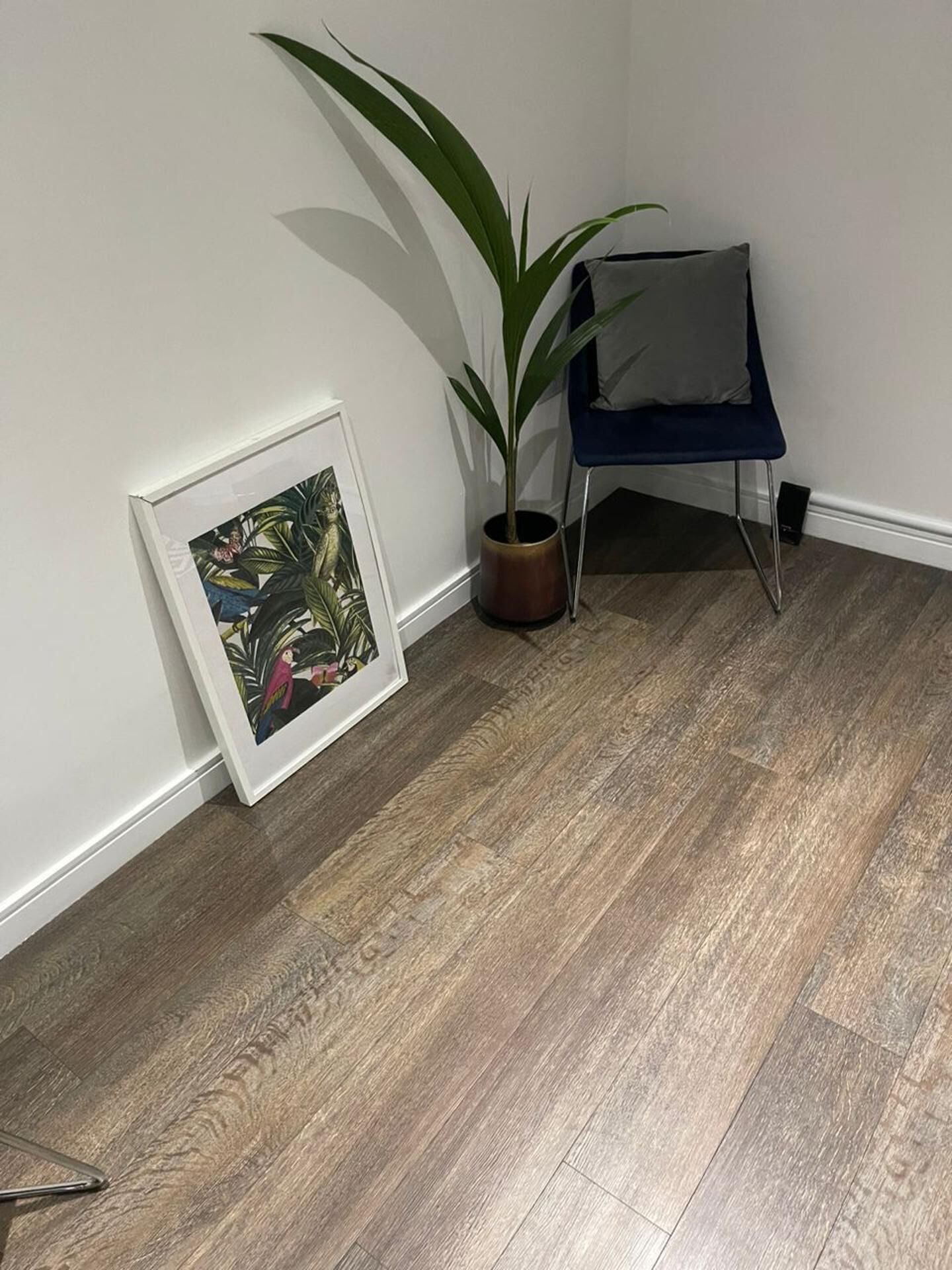 A corner of a room with a wooden floor, a framed picture leaning against the wall, a potted plant, and a blue chair.