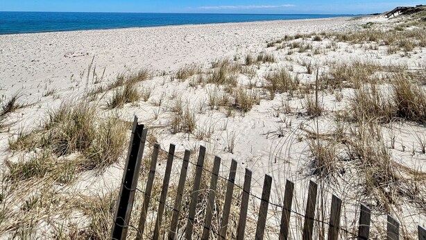 A beach with a wooden fence in the foreground and a clear blue sky. - Quarterboard 9 (Sandwich)