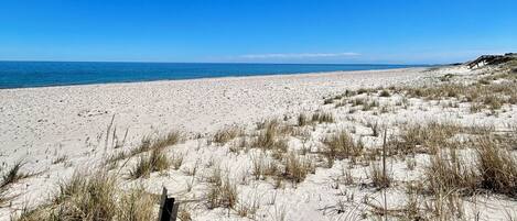 Playa en los alrededores