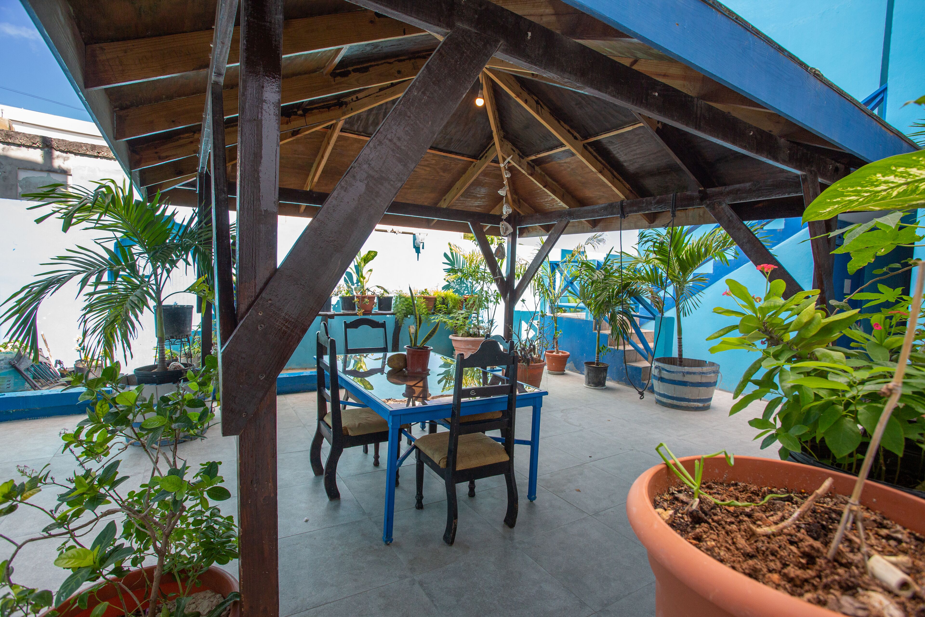 Une terrasse extérieure avec une table et des chaises en bois, entourée de plantes en pot et d’un mur bleu.