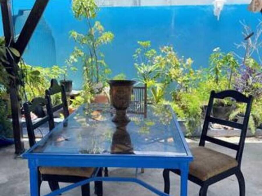 Una mesa azul con sillas bajo una estructura de madera, rodeada de plantas en macetas.