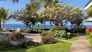 Vue sur le jardin