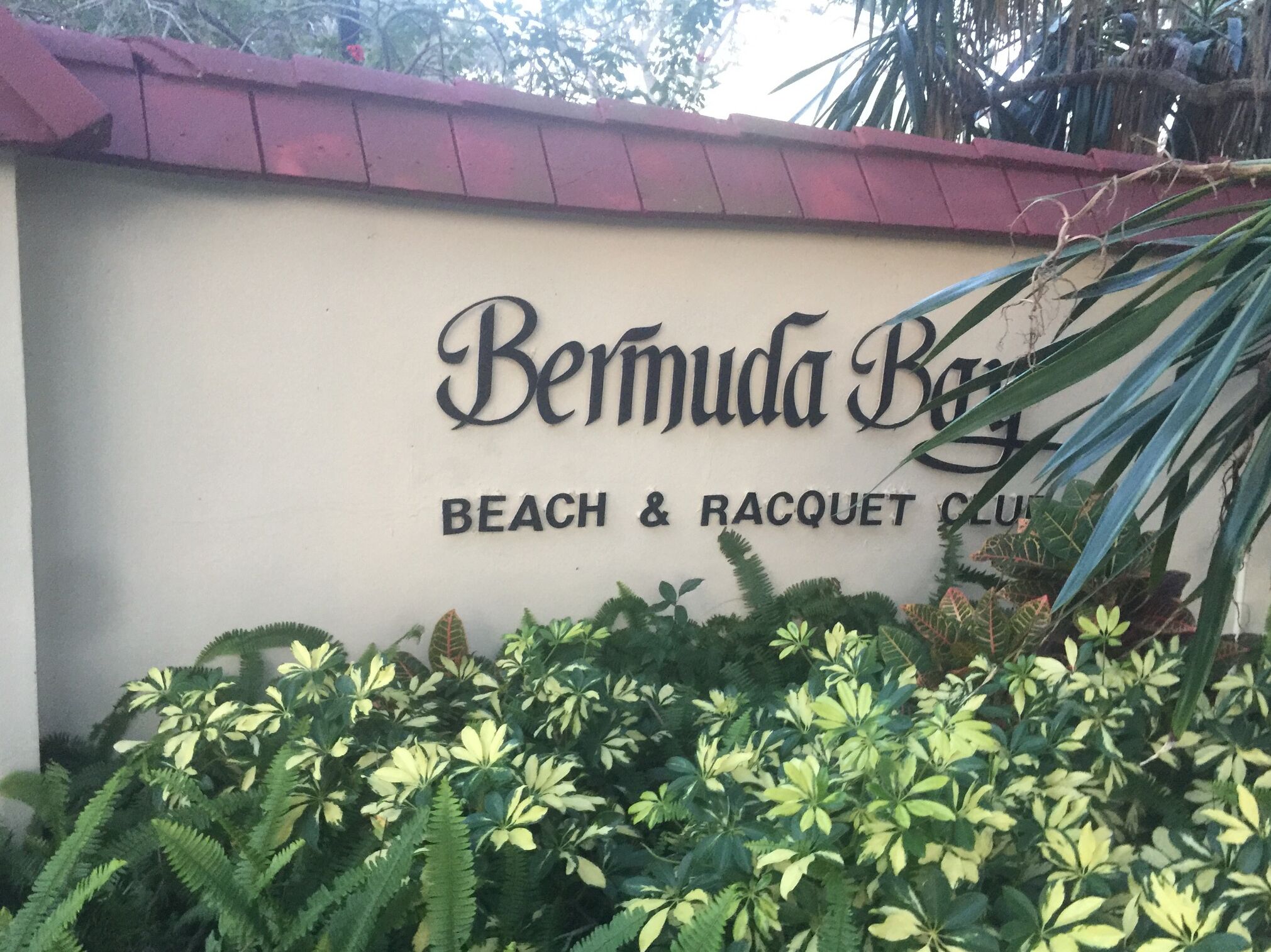 Detalle del exterior