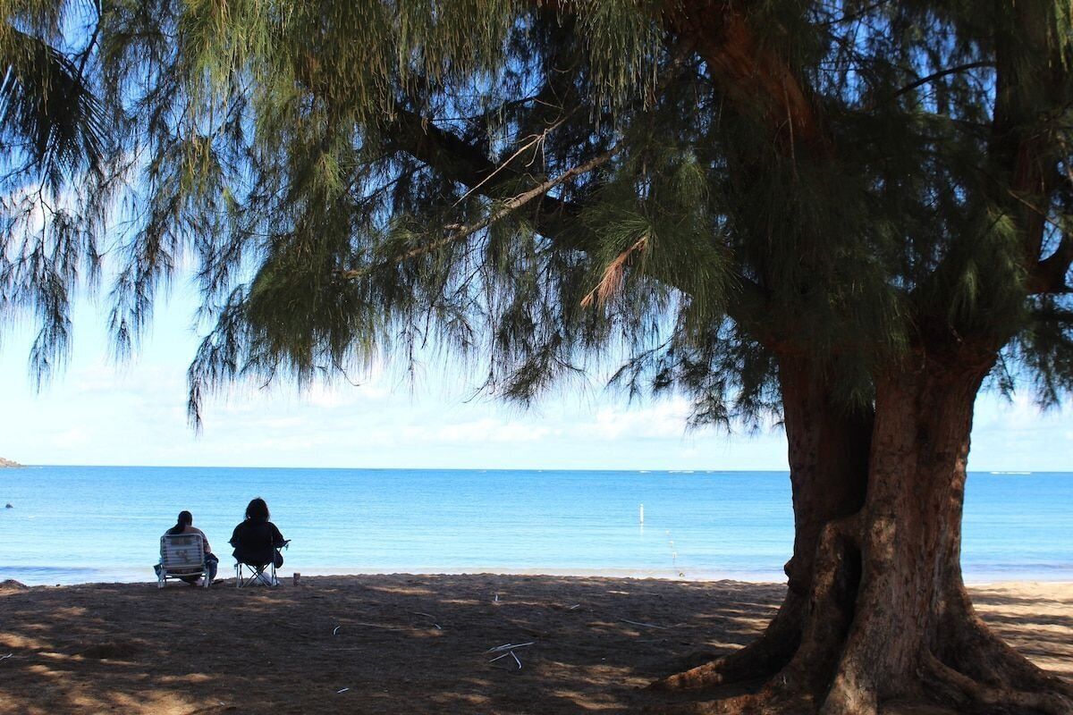 A beach with two people sitting on chairs under a large tree, overlooking the sea.