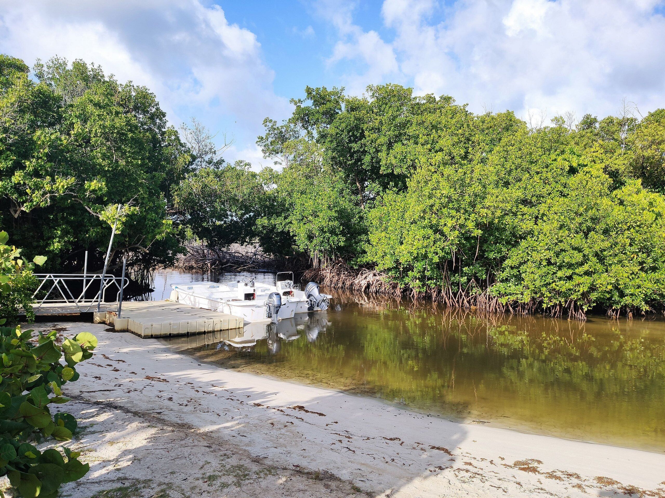 Un port de plaisance où sont amarrés des bateaux, entouré d’une dense forêt de mangroves et bordé par une étendue d’eau calme.