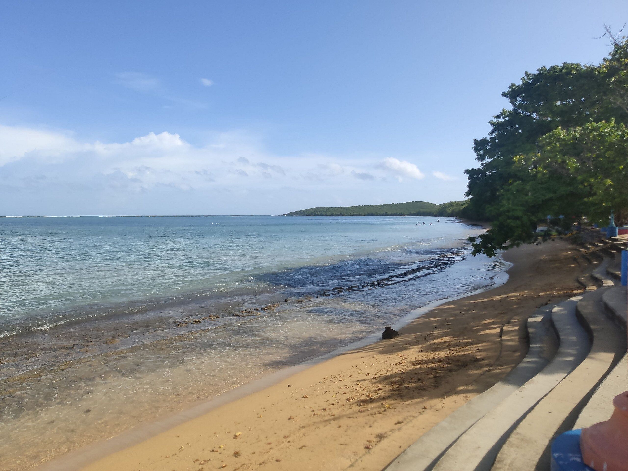 A beach with clear water, a sandy shore, and a tree-lined path.
