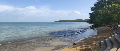 A beach with clear water, a sandy shore, and a tree-lined path.