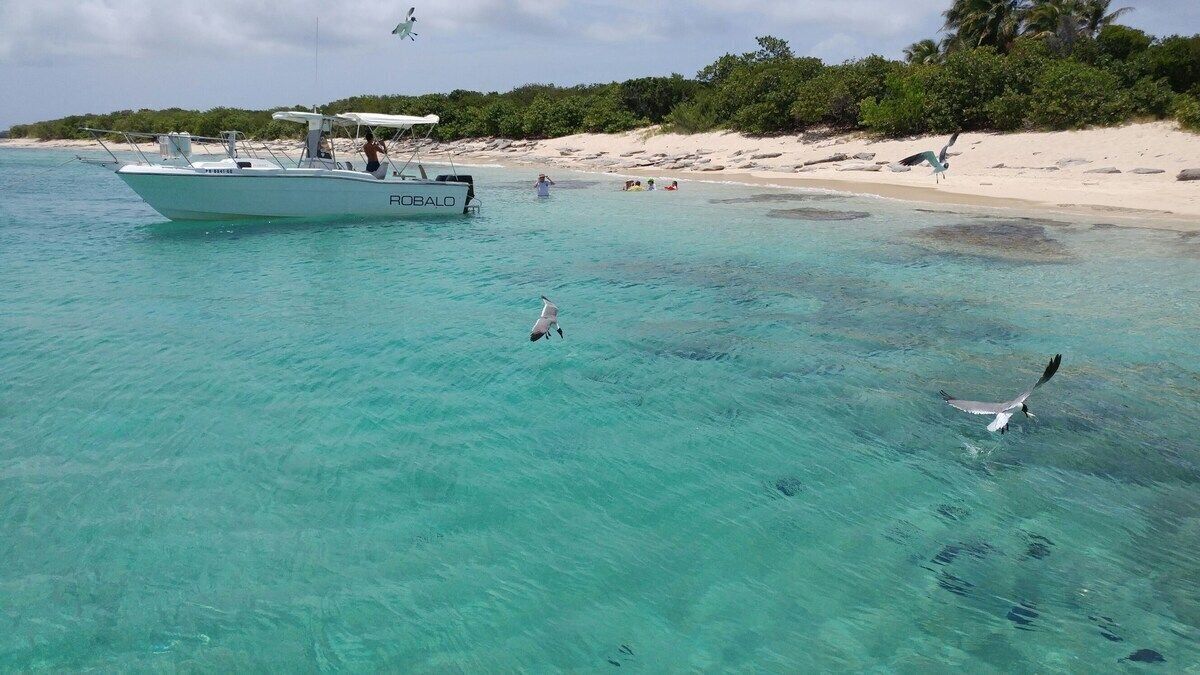 A boat named 'ROBALO' on clear turquoise water near a sandy beach with vegetation.