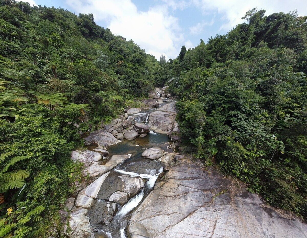Un paisaje natural con un arroyo rocoso rodeado de abundante vegetación.