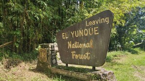 A sign for El Yunque National Forest with a rustic wooden post and a stone base. - Beachfront Studios (Fajardo)