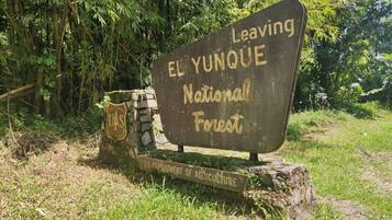 Studio | Property grounds