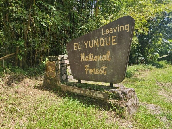 A sign for El Yunque National Forest with a rustic wooden post and a stone base.