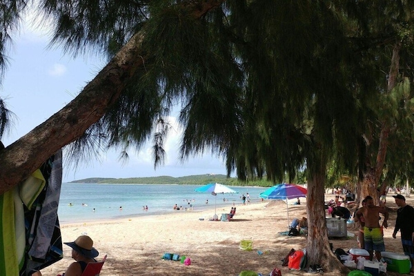Monolocale | Spiaggia | Teli da spiaggia