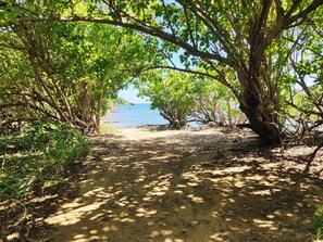 Pantai di sekitar, handuk pantai, pijat di pantai, dan bar pantai