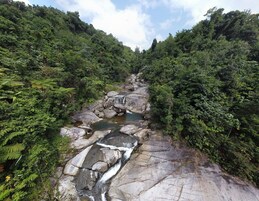 A natural landscape with a rocky stream surrounded by dense forest.