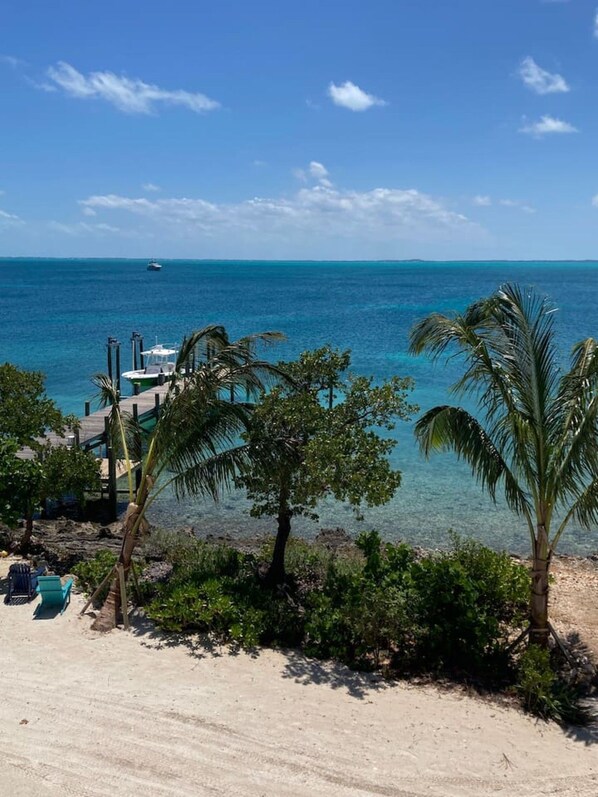 A beach with a clear view of the ocean, a dock with a boat, and palm trees.