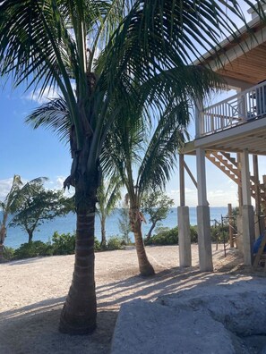 A beachside property with a wooden deck, palm trees, and a view of the ocean.