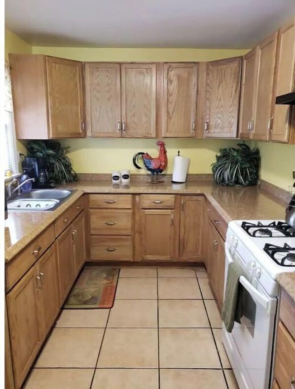 Kitchen features a gas stove, sink, and countertop area with a decorative rooster and potted plant.