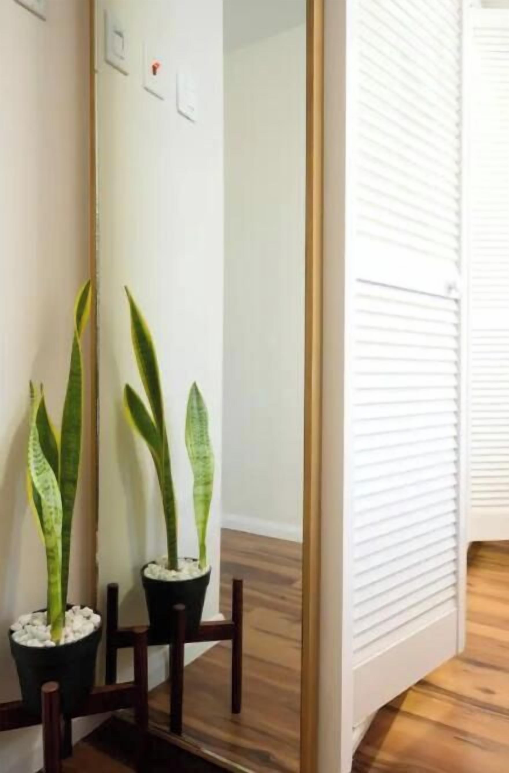 Un couloir avec un plancher en bois, une porte blanche et deux plantes en pot.
