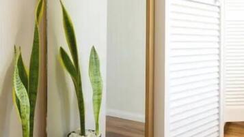 Un couloir avec un plancher en bois, une porte blanche et deux plantes en pot.