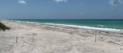 Tumbonas y toallas de playa