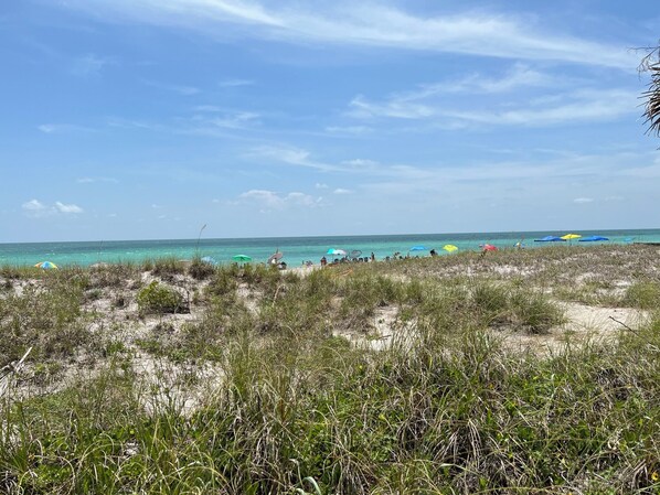 Camastros y toallas de playa 