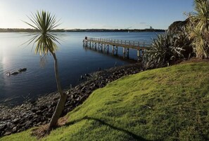 A calm lake with a wooden pier extending into the water, surrounded by grassy banks and palm trees. - Bright & Central Home with Mini Golf Area (Auckland)