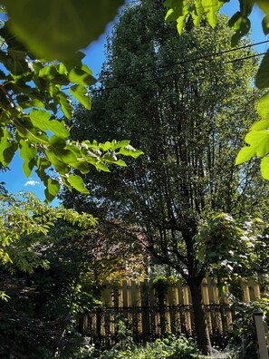 Property grounds - Ginger house (Chicago)